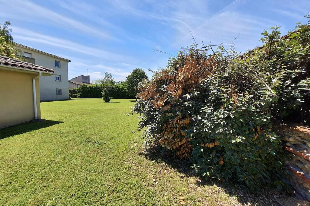 Charmant Appartement Avec Terrasse Et Jardin Au Calme Proche Bus Metro Тулуза Екстер'єр фото
