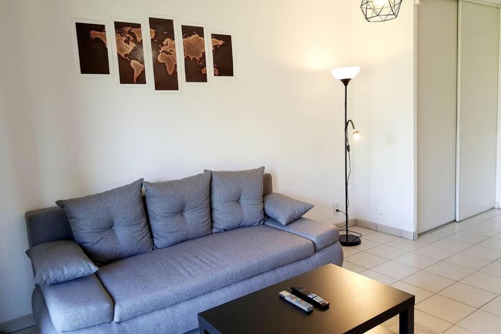 Charmant Appartement Avec Terrasse Et Jardin Au Calme Proche Bus Metro Тулуза Екстер'єр фото